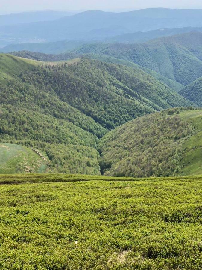 Апартаменти Сонячне Закарпаття Поляна Екстер'єр фото