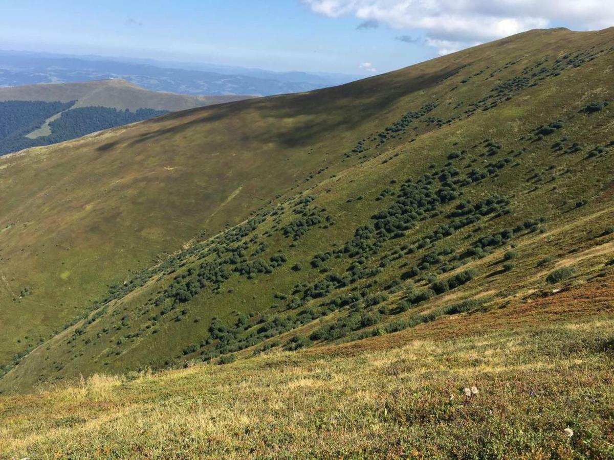 Апартаменти Сонячне Закарпаття Поляна Екстер'єр фото